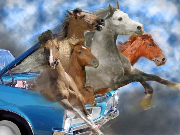 Creation of Real Horse Power ...: Step 4